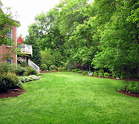 backyard oasis, curb appeal, landscape, patio, Looking across the yard
