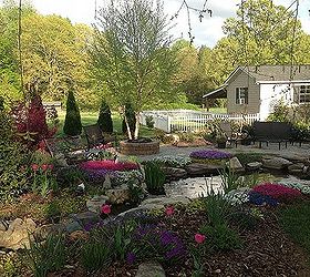 pond, gardening, outdoor living, ponds water features, Spring 2013 lots blooming in the garden now