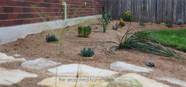 creating a xeriscape garden, gardening, We also used decomposed or crushed granite for mulch
