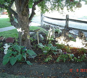 flower beds, flowers, gardening, The tree is a flowering crab Removed rock and planted shade plants here mostly hosta