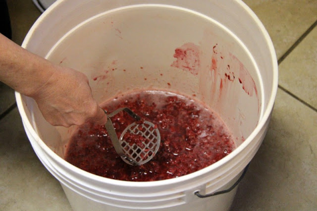 make your very own raspberry wine, gardening, Make a mash of raspberries