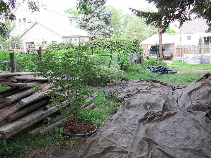 backyard mega makeover, gardening, outdoor living, patio, porches, The view of the backyard from the south side of the house And it is already missing the very very sad privacy fence a failing wooden mess that our lab found himself running right through when chasing a ball