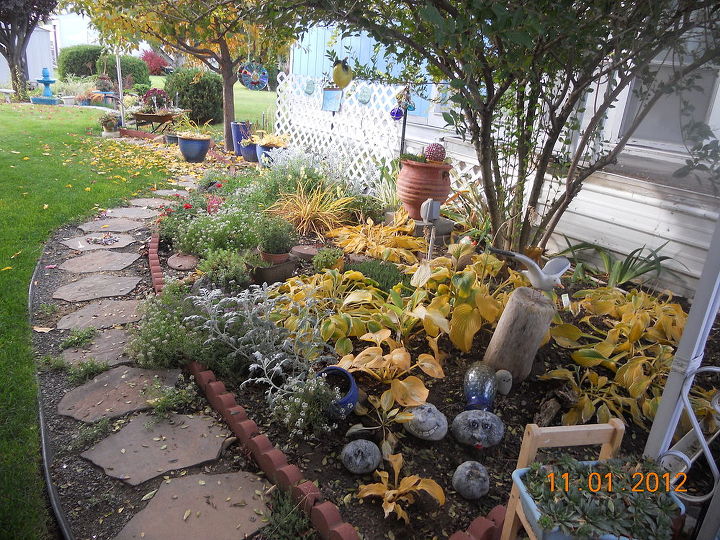 cleaning up garden for winter, flowers, gardening