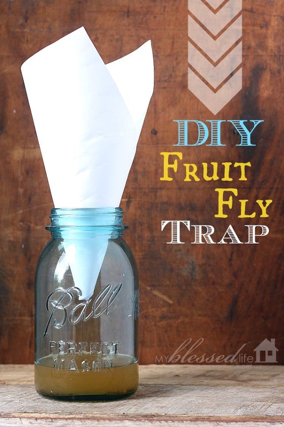 Get Rid of Fruit Flies {DIY Fruit Fly Trap} | Hometalk
