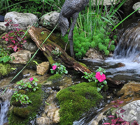 Water Features Big and Small to Inspire You