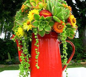 20 succulent planters you ll love, flowers, gardening, succulents