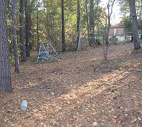 wooded slope needs attention, landscape, My grandchildren won t dare come back here because directly behid the swingset is where the forest begins Also this is where the road is that we cut