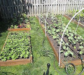 Square foot vegetable garden, my first attempt!