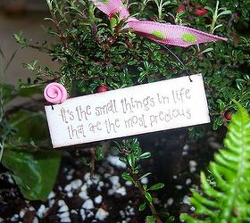 miniature gardening, container gardening, flowers, gardening, It s the small things how true