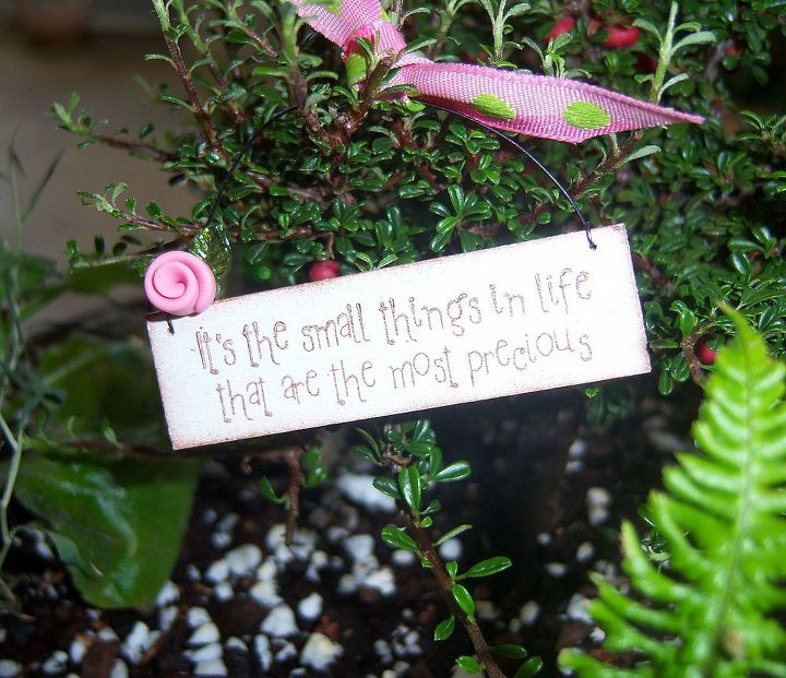 jardinera en miniatura, Son las peque as cosas qu cierto