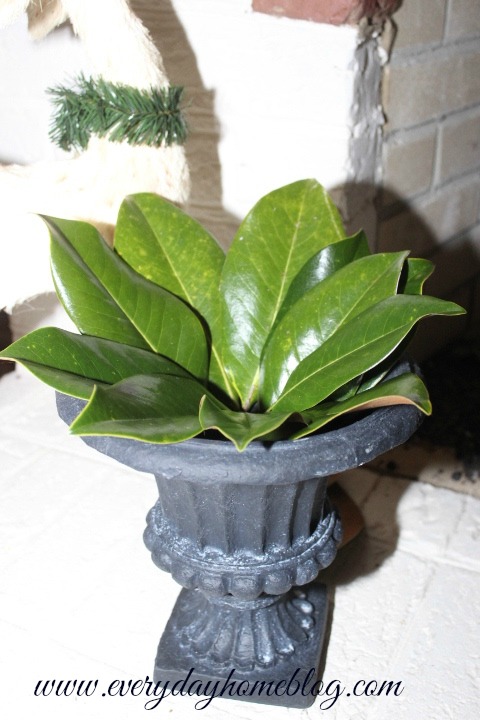 five minute or less christmas decorating idea, christmas decorations, seasonal holiday decor, I lined the edge of the urn with magnolia leaves