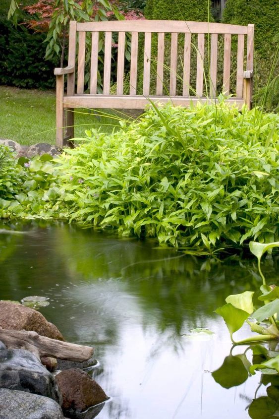water gardens, outdoor living, ponds water features, A rustic bench provides the perfect spot for quiet reflection