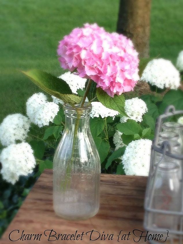 hydrangeas and vintage milk bottles crates for decorating, flowers, gardening, hydrangea, repurposing upcycling, One bloom one bottle Perfection