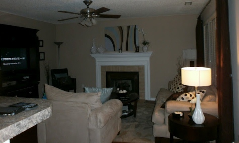 budget living room overhaul, fireplaces mantels, home decor, living room ideas, This is a photo of my living room BEFORE the remodel