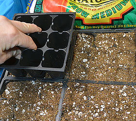 how to start seeds indoors, gardening, homesteading, Great tip Use an empty insert to lightly compact soilless mix and to form small indentations for the planting of the seeds