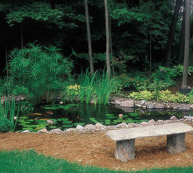 create a backyard oasis with a pond, landscape, outdoor living, ponds water features, The shade and water provide a cool spot to relax on a hot summer day