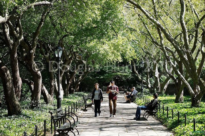 a visit to central park s conservatory garden, gardening, Allee of crabapple trees