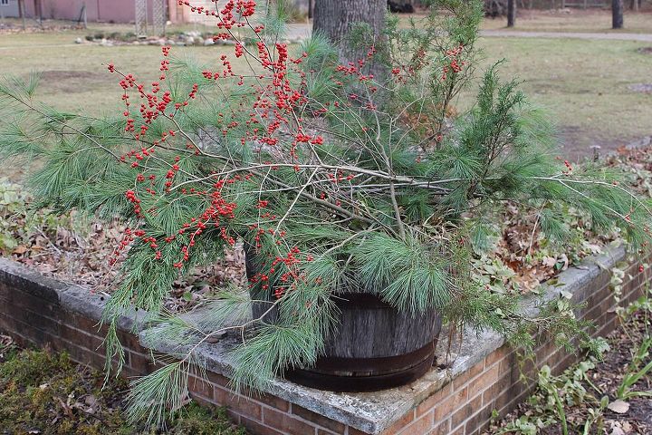 greens and winterberry holly d cor at the small house, gardening, seasonal holiday d cor, A wooden whiskey barrel filled with greens and holly greet our guests at the end of the driveway and send a bit of holiday cheer to all who drive by