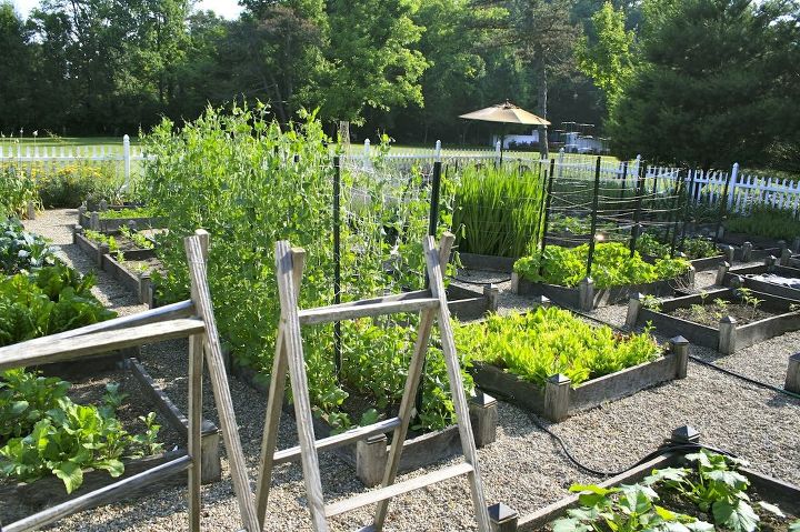 planning ideas for your vegetable garden, gardening