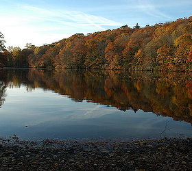 Fall pond reflections | Hometalk