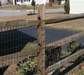 q raised bed over chicken wire, fences, outdoor living, Ugly fence