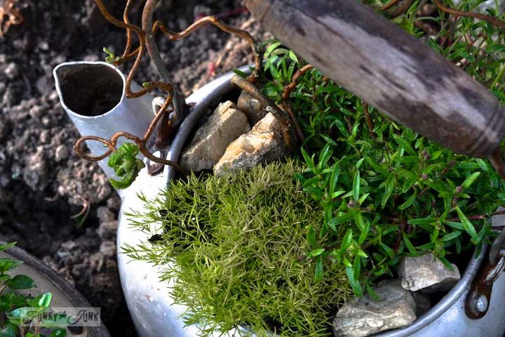when old kettles turn into rock gardens, gardening, repurposing upcycling, Each kettle got two rock garden plants plus were further enhanced with some sticks and stones for a truer rock garden feel