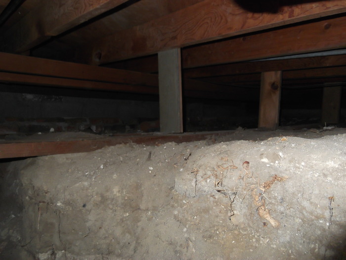 reparo do espao de rastreamento fotos antes e depois, O piso acima do espa o de rastreamento nesta casa de Dever estava cedendo devido ao mofo umidade e deteriora o da madeira