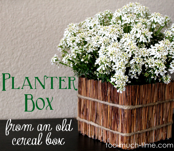 earth day tv appearance for hometalk, crafts, repurposing upcycling