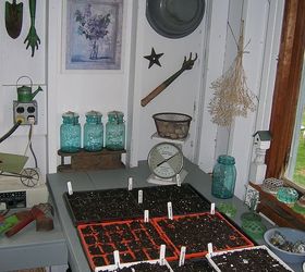 my potting shed my favorite place to be in the summer, container gardening, flowers, gardening, home decor, outdoor living, Seed starting day in the Potting Shed