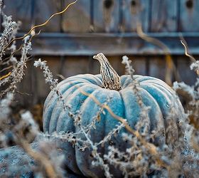 blue pumpkins, gardening, seasonal holiday decor