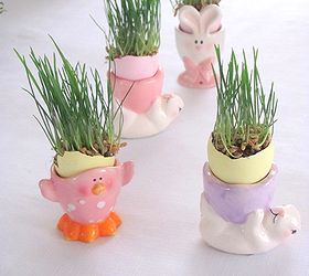 how to grow wheat grass for easter, crafts, easter decorations, seasonal holiday decor