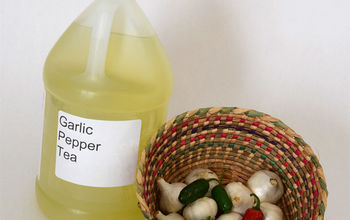 Garlic Pepper Tea:  A Natural Pesticide