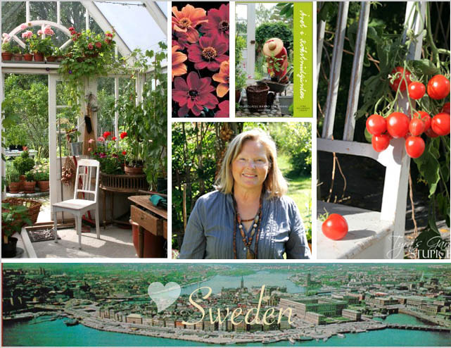 a greenhouse from old windows elegant ideas of tyra halls nius lindhe, gardening, outdoor living, repurposing upcycling, windows, An ardent photographer Tyra delights me with views of her cobbles and millstone courtyard glowing in the last rays of afternoon sun in Sweden