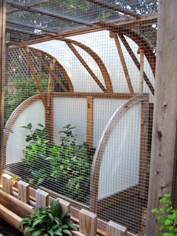 make a critter proof garden greenhouse, flowers, gardening, Corrugated polycarbonate panels were used to create a few cold frames that keep citrus trees such as Meyer lemon from freezing during winter months