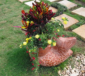 a succulent pot and a tropical pot that i did for summer pool areas, flowers, gardening, succulents
