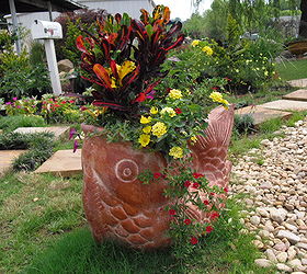 a succulent pot and a tropical pot that i did for summer pool areas, flowers, gardening, succulents