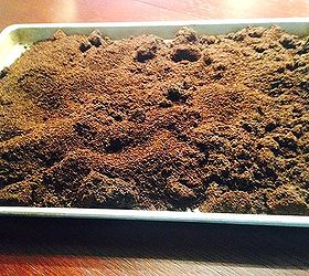 leftover coffee grounds, container gardening, gardening, repurposing upcycling