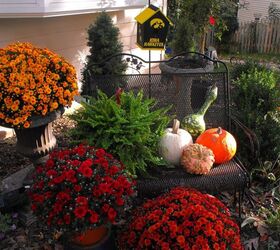 fall and halloween my favorite holidays, gardening, halloween decorations, seasonal holiday d cor, Fall decorations a fun welcome to the front door