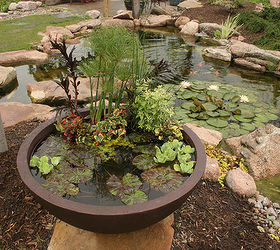 container water gardens, container gardening, gardening, ponds water features, This patio pond is available at