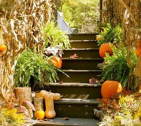 organic fall porch in the country, outdoor living, seasonal holiday decor, Corn stalks from the garden combined with ferns pumpkins squash driftwood and birch logs for a natural fall look