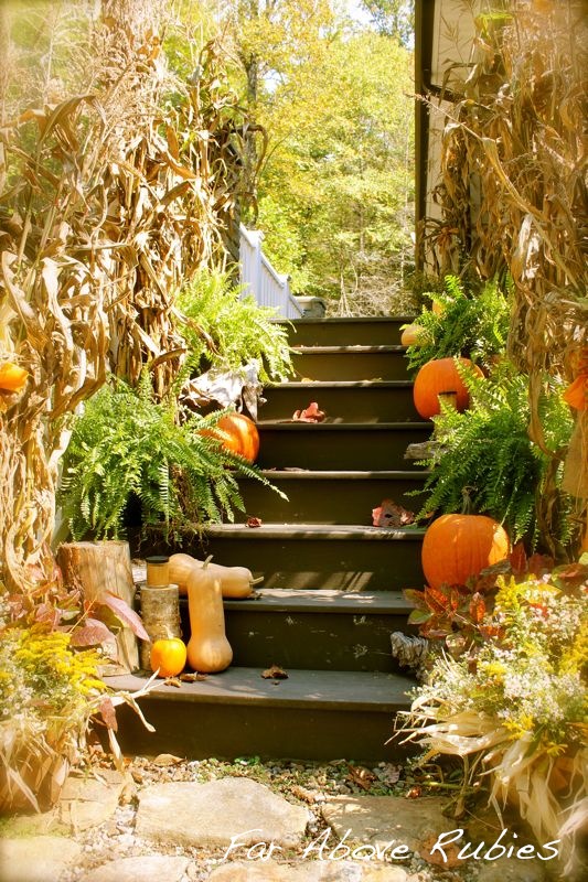 organic fall porch in the country, outdoor living, seasonal holiday decor, Corn stalks from the garden combined with ferns pumpkins squash driftwood and birch logs for a natural fall look