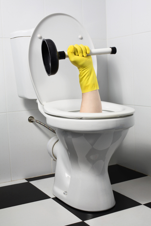 how to properly handle clogged sewer lines, home maintenance repairs, how to, plumbing