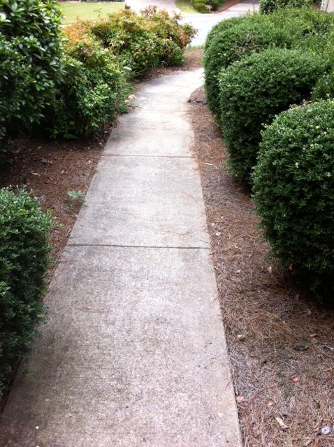 greetings we are looking to update and replace our overgrown front walkway to, concrete masonry, curb appeal, gardening
