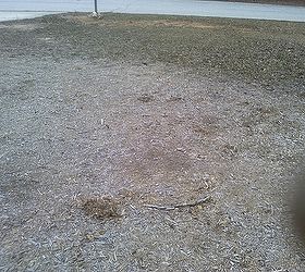 when it rains the grass and top layer of dirt disappear need help in getting it, gardening, landscape, Grass is receeding at the top of picture