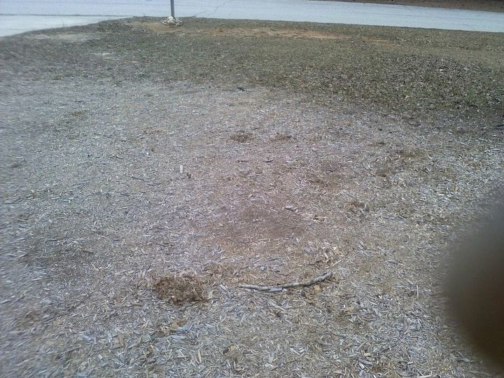 when it rains the grass and top layer of dirt disappear need help in getting it, gardening, landscape, Grass is receeding at the top of picture