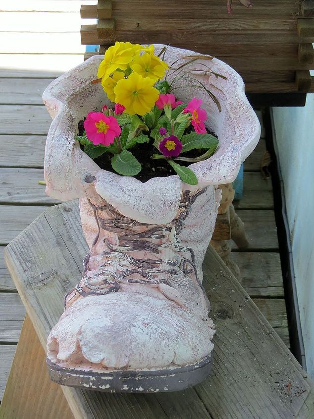 my garden in winter, container gardening, gardening, succulents, Primroses in a boot