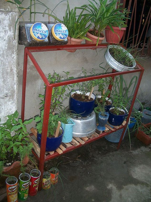finally i pulled it through my humble herb garden, gardening, the plant stand is from our old organ which we don t use anymore