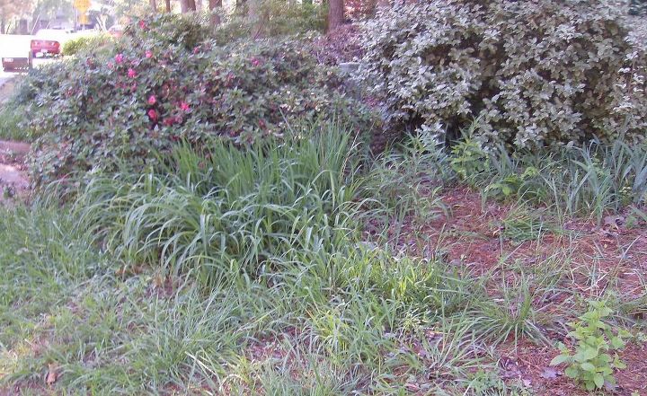 q parts of my front yard are a mess i need help knowing what to do can someone tell, flowers, gardening, More of the cluttered overgrown front yard