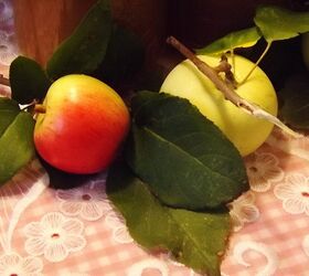 a is for apples, gardening