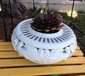planter from a ceiling fan housing, flowers, gardening, repurposing upcycling, succulents, Ceiling housing as a succulent planter